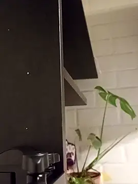 Yovitarica online show from 11-29-25, 02:01