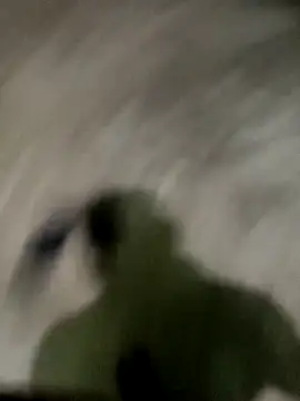 spermc online show from 11-27-25, 04:18