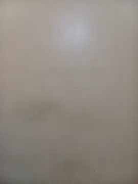 StormzyLeila online show from 12-01-25, 04:02