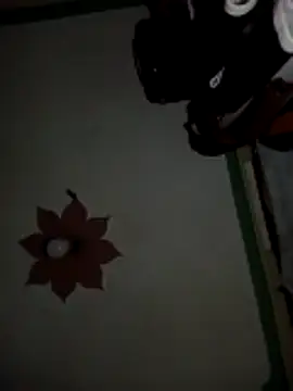 honeypot224 online show from 03-15-26, 03:57