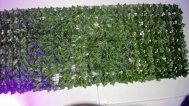 LiilithStonne online show from 03-16-26, 12:53