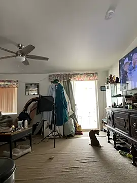 tsashelayamylynzy online show from 02-11-26, 09:14