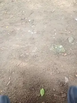 Jeison0323 online show from 01-09-26, 08:49