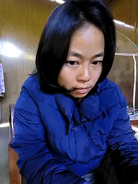 Cat-meow online show from 11-29-25, 02:01