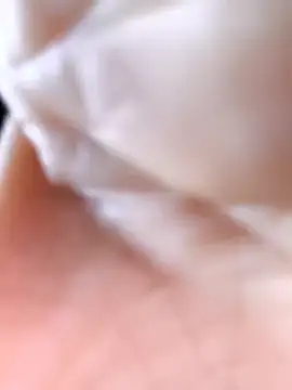 Cat-meow online show from 11-25-25, 02:45