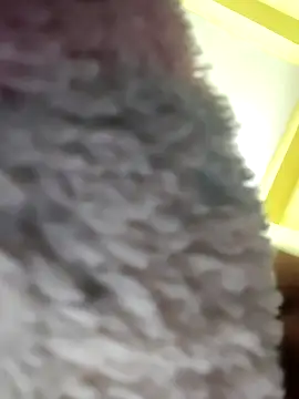 Minakshi-Gi online show from 02-18-26, 07:32