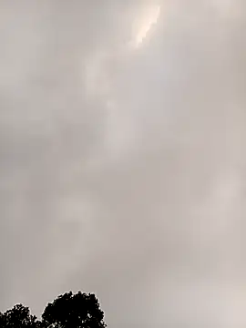 meomeo-00 online show from 01-11-26, 12:28