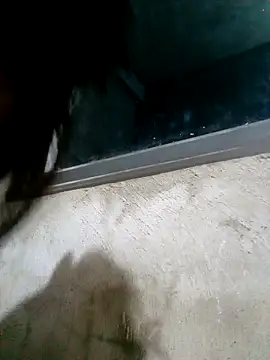 Ava-120 online show from 02-17-26, 03:09