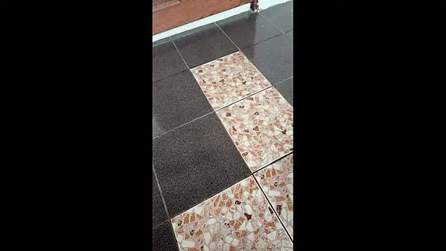 zghn00 online show from 11-18-25, 06:28