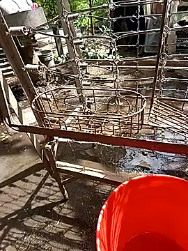 juunioreest online show from 11-25-25, 05:35