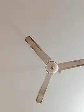 rupamim online show from 12-22-25, 11:54