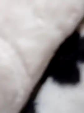 fati35flou online show from 12-21-25, 06:42