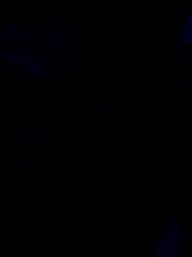 cutestpearl online show from 01-13-26, 04:44