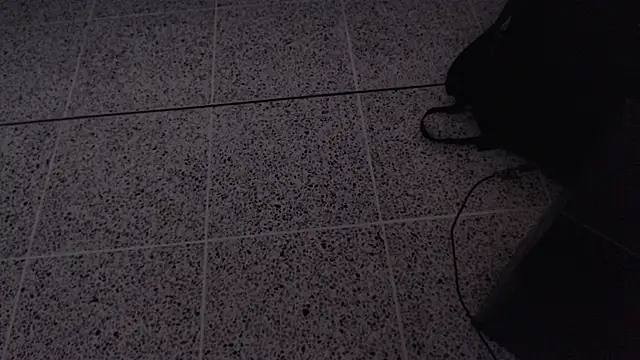 Dio  morningstar online show from 04-13-26, 12:20