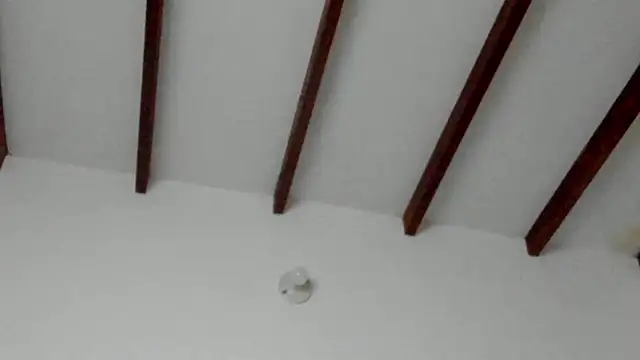 Dio  morningstar online show from 02-08-26, 09:34