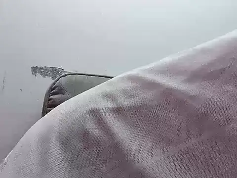 Binnky online show from 04-04-26, 02:29