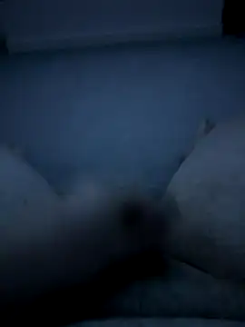 Snapshot of -bfc1882- chatting on 11-29-25, 12:44 -bfc1882- online show from 11-29-25, 12:44