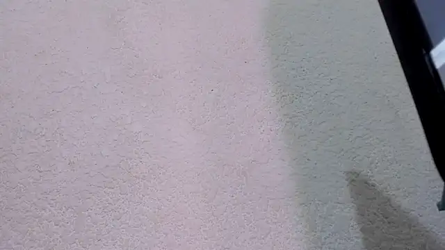 ebonycamelia online show from 11-22-25, 11:47