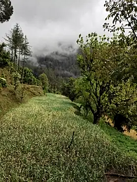 Cute Lucky online show from 04-08-26, 06:15