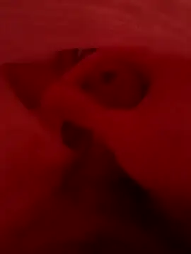 Snapshot of Kingaandqueenn chatting on 12-17-25, 09:03 Kingaandqueenn online show from 12-17-25, 09:03