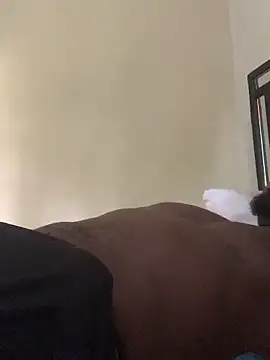 laperson online show from 04-04-26, 11:39