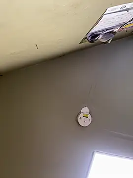 24denio online show from 03-07-26, 01:49