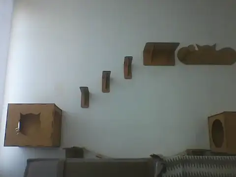 Temp7 online show from 03-06-26, 11:16