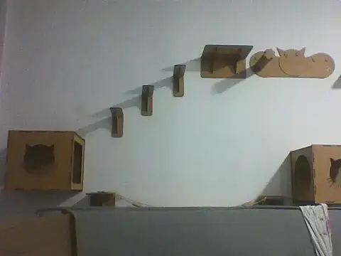 Temp7 online show from 02-23-26, 01:29