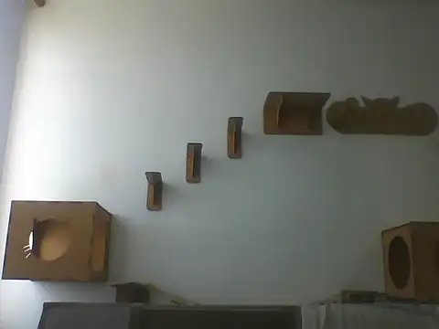Temp7 online show from 03-07-26, 12:10