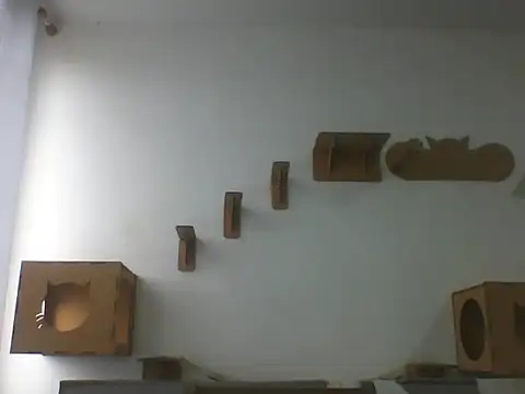 Temp7 online show from 02-23-26, 06:08