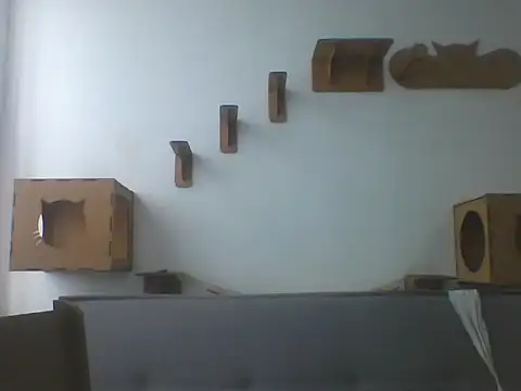 Temp7 online show from 02-21-26, 01:13