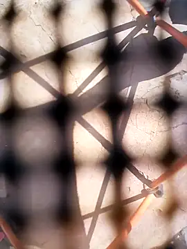 Eezxxx online show from 12-03-25, 07:30