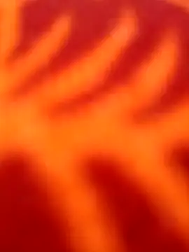 Nandani-758 online show from 04-08-26, 11:22