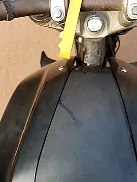 Meow buggie online show from 12-23-25, 02:55