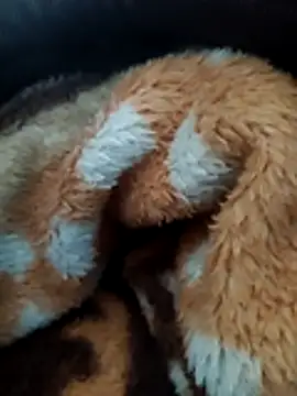 Hotboylumia 825321 online show from 12-20-25, 01:14