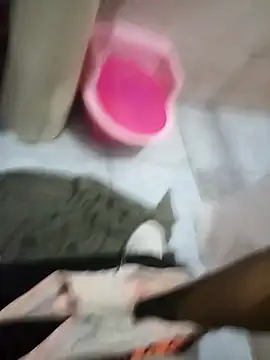 Rico123san online show from 01-15-26, 08:07