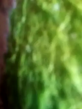 Rico123san online show from 03-25-26, 08:52