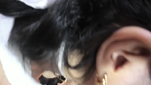 Haylenpark online show from 02-22-26, 11:56