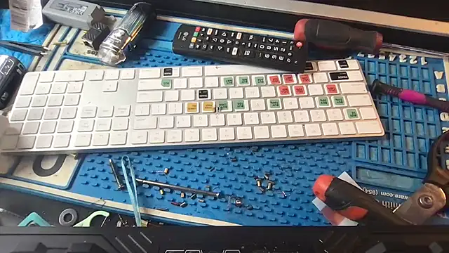 SinlessFreedom7 online show from 01-31-26, 07:34