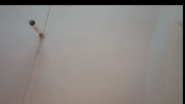 ShyColette online show from 11-22-25, 03:27