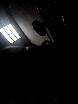 277T online show from 12-23-25, 04:23