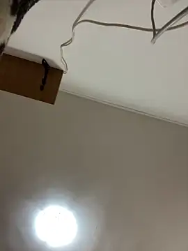 CrazyJessika online show from 03-06-26, 02:01