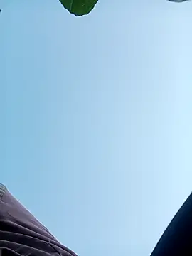 nangmo online show from 11-30-25, 12:11