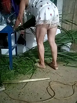 nangmo online show from 07-04-26, 11:27