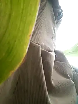 nangmo online show from 07-17-26, 11:46