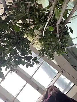 Snapshot of KateBurlesk chatting on 02-01-26, 09:07 KateBurlesk online show from 02-01-26, 09:07