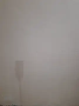 Alli8900 online show from 12-20-25, 09:45