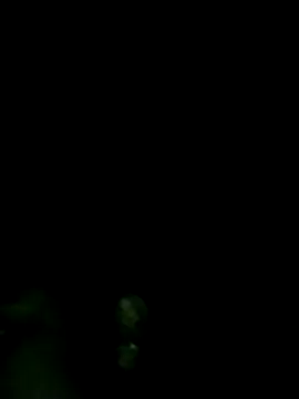 Pooja hote online show from 12-02-25, 12:11