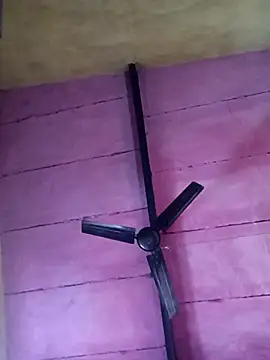 Pooja hote online show from 12-20-25, 11:02