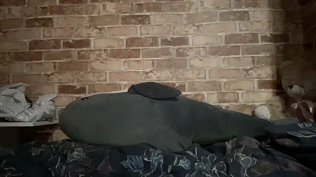 Blair Reid online show from 11-29-25, 04:40